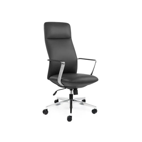 Director High Back Black Leather Chair